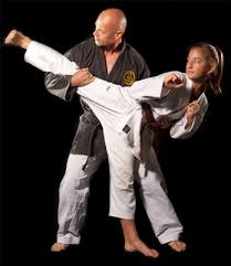 Image result for Norfolk Karate