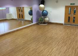 Image result for Battersea Park Millennium Arena