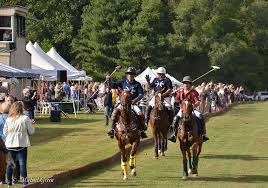 Image result for Woolmers Park Polo Club