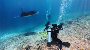 Image result for Scuba Fun