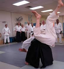 Image result for Shiro Kashi Aikido Club