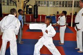 Image result for ATA Martial Arts Mobile