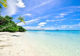 Image result for goa beaches