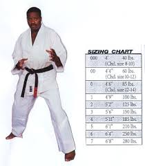 Image result for Universal Judo Academies