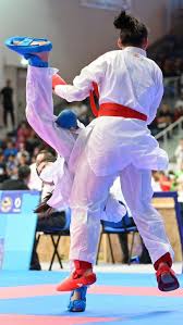 Image result for Guerrero Martial Arts