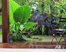 Balinese Garden Ideas | Garden Ideas Picture