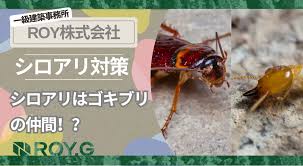 Image result for ゴキブリ報告所