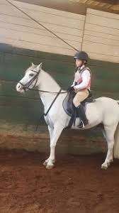 Image result for South Weylands Equestrian