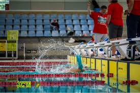 Image result for Swansea Finswimming Club