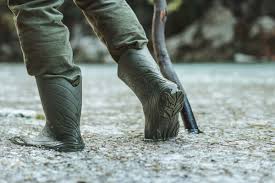 Attēlu rezultāti vaicājumam “Ranidae”