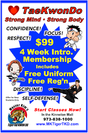 Image result for Kidderminster Tae Kwon Do Tigers