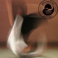 Image result for White Oak Aikido Reading