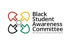 Image result for Birmingham BSAC 25