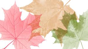 Bildergebnis für Fall…