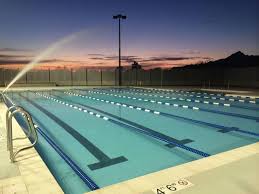 Image result for Derby Phoenix Swimming Club