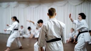 Image result for Hale Barns Dojo