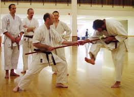 Image result for Reading Karate-Do Shotokai