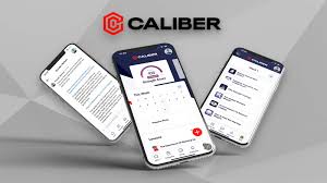 Image result for Calibre Performance Coaching