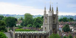 Image result for Octopushy (Croydon Area)