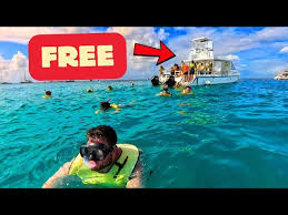 Image result for Harbour Lights Snorkelling Club (HLSC)