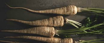 Image result for Pastinake