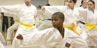 Image result for Vision Martial Arts