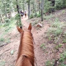 Image result for Old Park Riding Stables