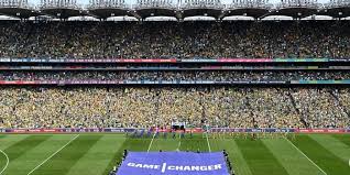 Image result for Herdings Park Football Club