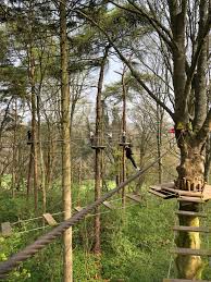 Image result for Go Ape! Leeds Castle