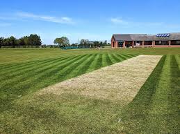 Image result for Tarleton Cricket Club