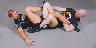 Image result for Combat Sambo