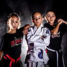 Image result for Action Karate