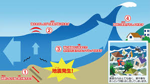 Image result for 高潮 津波 別物