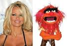 new pam anderson sex tape