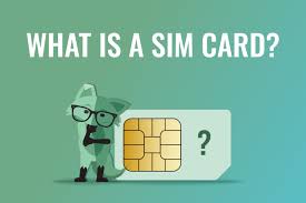 Image result for SiM