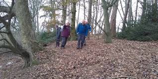 Image result for Toddington Tennis Club