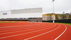 Image result for Meadowbank Edinburgh Jitsu Club