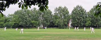 Image result for Ingleby Greenhow Cricket Club