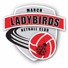 Image result for Ledbury Magpies Netball Club