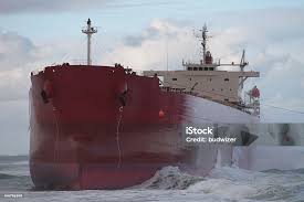 Image result for Pasha bulker