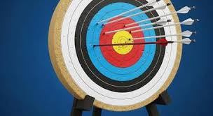 Image result for Blue Arrows Archery Club