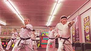 Image result for HEIWA SHOTOKAN KARATE CLUB
