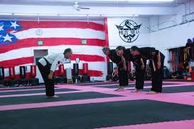 Image result for United Dojos Kickboxing