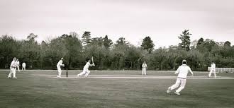 Image result for Theale and Tilehurst Cricket Club