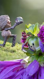 Image result for Acorn Archers