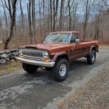 Image result for Chestnut Brown 1979 Jaguar
