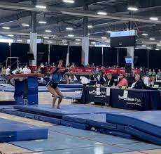 Image result for Torbay Olympic Gymnastics Club