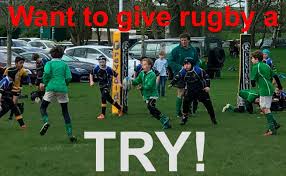 Image result for Wharfedale Rugby Union Football Club