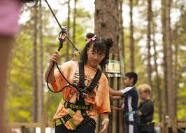 Image result for Go Ape! Moors Valley