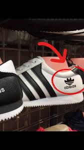 Image result for abibas